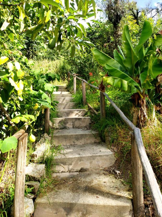 Fundo Wilppani Villa Limatambo ภายนอก รูปภาพ